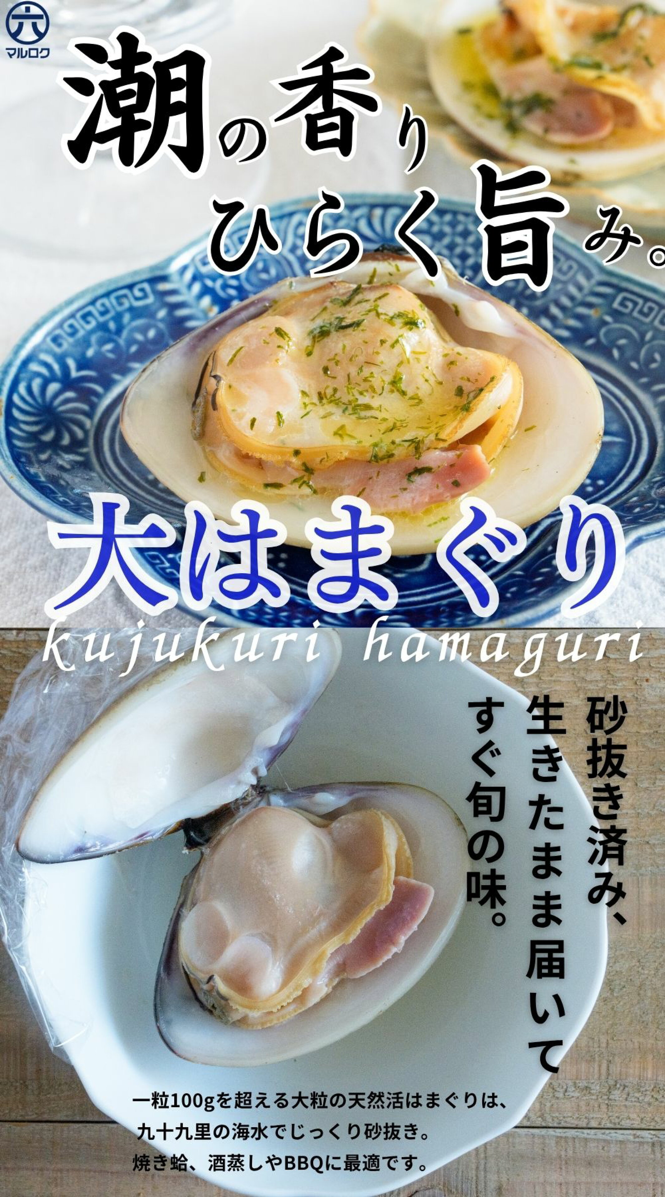 【数量限定】九十九里産 天然 大はまぐり（1kg）