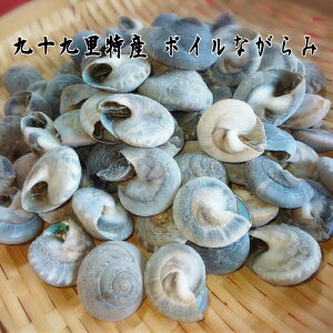 お中元 貝 その他の魚介類の人気商品 通販 価格比較 価格 Com お中元 貝 その他の魚介類の人気商品 通販 価格比較 価格 Com
