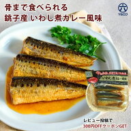 ＼全品10%OFF／クーポン 8/10まで【送料無料】銚子 いわし煮 カレー風味 1~5袋 魚惣菜 ご飯のお供 常温保…