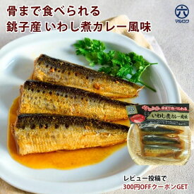 【送料無料】銚子産 いわし煮 カレー風味 1~5袋 魚惣菜 ご飯のお供 常温保存 煮魚 煮つけ 食品 惣菜 和食 手軽 時短 おかず 詰め合わせ 仕送り 一人暮らし ギフト プレゼント 長期保存 非常食 保存食 魚 レトルト いわしギフト 母の日 介護食 お中元 作り置き 市場 キャンプ