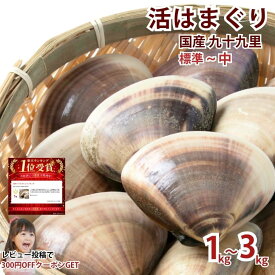 【送料無料】国産 九十九里 はまぐり 標準〜中サイズ 1kg(10〜14粒) 蛤 ハマグリ 酒蒸し お吸い物 BBQ 花見 焼き蛤 貝 おつまみ 送料無料 (北海道・九州・沖縄除く)