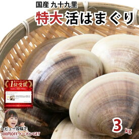 国産 九十九里 活はまぐり 特大100〜140g 3kg(18〜30粒) 千葉県 ハマグリ 蛤 酒蒸し お吸い物 BBQ 花見 貝 焼き蛤 砂抜き済み おつまみ 父の日 お中元 送料無料 (北海道・九州・沖縄除く）