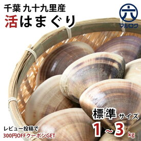【送料無料】国産 九十九里 活はまぐり 標準サイズ 1kg(16〜25粒) 千葉県 ハマグリ 蛤 酒蒸し ワイン蒸し お吸い物 BBQ 花見 焼き蛤 貝 おつまみ お中元 作り置き 市場 ホンビノス