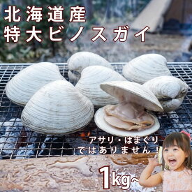 【訳あり】北海道産 超特大 ビノスカイ 天然 二枚貝 酒蒸し クラムチャウダー 焼き貝 BBQ バーベキュー アウトドア キャンプ飯 送料無料 (北海道 九州 沖縄除く) お中元 キャンプ 貝
