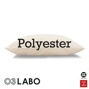 03LABO {Ĉ܂ KNOPS|GXe100 43×63cm Li  KP-P1020MM5 [  43×63cm |GXe  ߉ Q {  ێOȋ ]