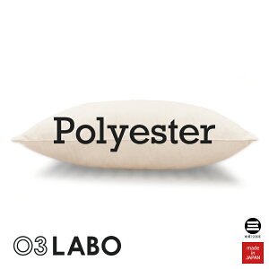 03LABO {Ĉ܂ KNOPS|GXe100 50×70cm Li  KP-P1020LH5 [  50×70cm |GXe 傫  傫  ߉ Q {  ێOȋ ]