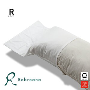 Rebreana J s[P[X 43×63cm Z[XWJ[hn RB-PC2020J [ Jo[ 43×63 Ȃ z eZ Q {  ێOȋ ]
