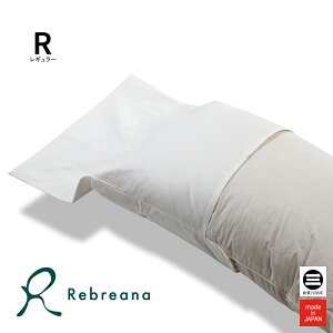Rebreana C s[P[X 43×63cm RbgTen RB-PC2020C [ Jo[ 43×63 Ȃ z eZ Q {  ێOȋ ]