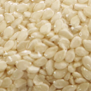 �ނ����� 500g