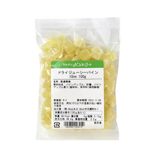 �h���C�W���[�V�[�p�C��10mm 100g