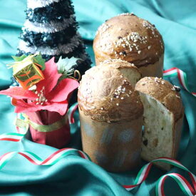 パネトーネキット クリスマス限定 賞味期限2026.2.28