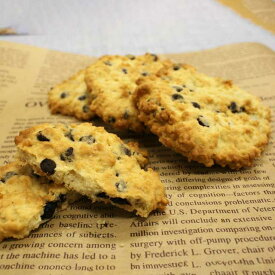 【今だけ円筒ケース2個付き!!】　オートミールチョコチップクッキー(4〜5cmのクッキー約30〜40枚分) (レシピ付き) 夏季クール便