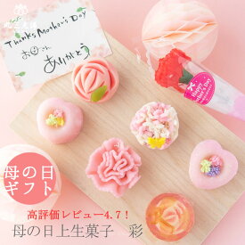 【予約】 丸三老舗 母の日 上生菓子 -彩-【送料無料】6個入 ≪ 和菓子 花 セット プレゼント ≫[ 高級 詰め合わせ 贈答用 和菓子 練り切り バラ 高級 お取り寄せ 高評価 レビュー評価4.73 ]