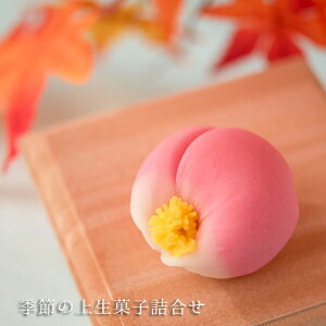 ێOV G߂̏㐶َq܂6Zbg [ hV̓ aَq lߍ킹 Mtg ؂  [[   bsO j v[g yY XC[c  p 