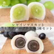 フルーツ大福 2種 詰合せ 6個入 [ お中元 シャインマスカット ナガノパープル 白あん プレゼント ギフト …