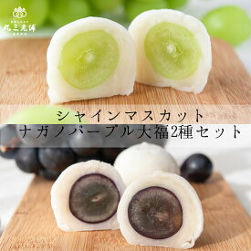 フルーツ大福 2種 詰合せ 6個入 [ 敬老の日 お中元 シャインマスカット ナガノパープル 白あん プレゼント ギフト 高級 お取り寄せ スイーツ 送料無料 丸三老舗 ]