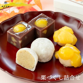 丸三老舗 特選 栗づくし詰合せ 3種6個入 1箱 和菓子 プレゼント 手作り 栗 ギフト 高級 お取り寄せ セット 詰め合わせ お年賀 年末年始 お歳暮 御歳暮 御年賀【送料無料】