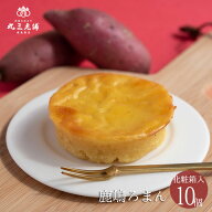 丸三老舗 鹿嶋ろまん10個入 1箱 [ お盆 お供え 個包装 スイートポテト さつまいも 紅あずま 茨城 スイー…