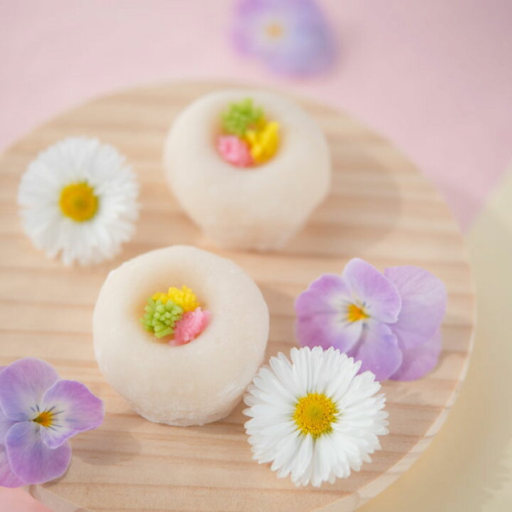楽天市場 母の日 カーネーション 花 プレゼント スイーツ お菓子 人気 和菓子 詰め合わせ 季節の上生菓子おまかせ6個セット 手作り 職人 老舗 練り切り 綺麗 おしゃれ かわいい お取り寄せ グルメ ラッピング 内祝い お祝 御祝 お誕生日 お礼 御礼 高級 お返し 送別会