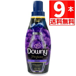 メキシコダウニーロマンス 柔軟剤 Romance 750ml×9本 【送料無料】 1ケース 衣料用柔軟剤 人気のメキシコダウニー定番柔軟剤 メキシカンダウニー