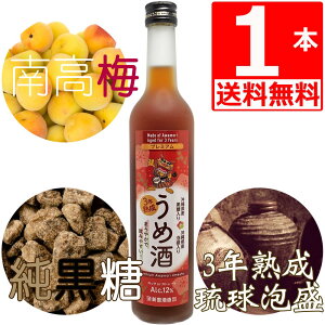 ~  ߎ 500ml×1{ N쏤PB n3NÎd 썂~ ꌧY V