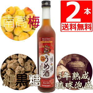 ~ [[ A ~ 500ml×2{ N쏤PB n3NÎd 썂~ ꌧY Plum wine