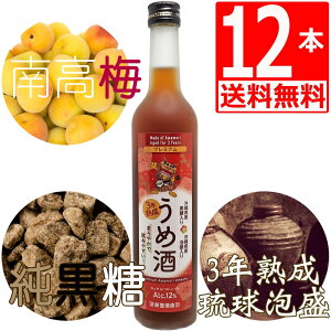 ~ [[A~ 500ml×12{ N쏤PB n3NÎd 썂~ ꌧY Plum wine