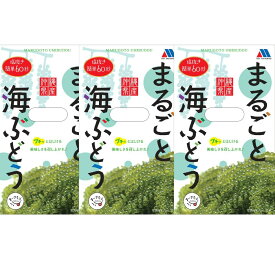 まるごと海ぶどう50g×3箱 沖縄県産　海ぶどう
