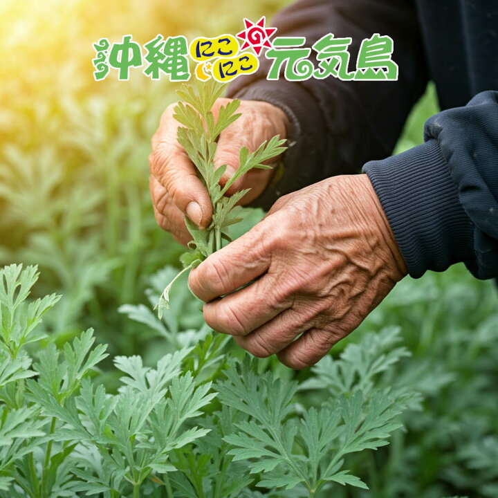 楽天市場】無農薬栽培 よもぎ 琉球ヨモギ粒 3袋(180粒＝約3か月分 