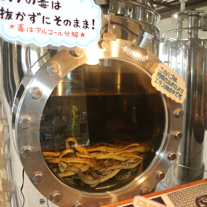 楽天市場】南都酒造 夫婦 ハブ入り ハブ酒 35度 3000ml 【送料無料 