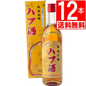 s nu 25x 720ml×12{ yz Ax[X+nuGLX 13ނ̃n[uuh