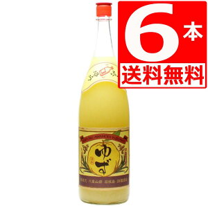  A[L[]  䂸V[N[T[ 10x@1.8L×6{yz𑢁@V[N[T[L[