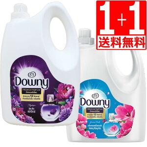 _Ej[ _ ~XeB[N 4L×1{+TCYtbV4L×1{ v2{Zbg Zk^Cv Downy ߗp_܁yz