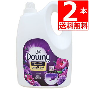 _Ej[ ~XeB[N _ Downy Mystique 4L×2{ Zk^Cv ߗp_ xgi_Ej AWA_Ej[ yz