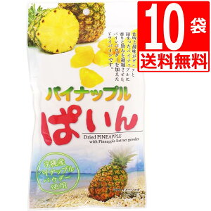 hCt[c pCibvς 95g ×10 ꌧYpCpE_[gp hCpC