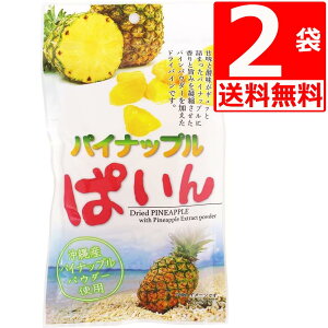 hCt[c pCibvς 95g ×2 ꌧYpCpE_[gp hCpC