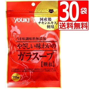 ELHi ₳킢̃KX[v() 70g 30 ܖY