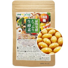 植物酵素たっぷり 生酵素160種 (60粒＝約1か月分) サプリメント 沖縄にこにこ元気島ブランド