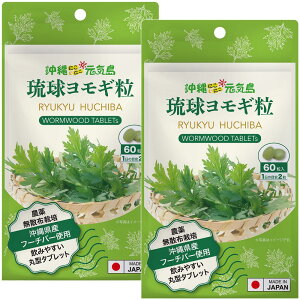  M (601)×2 M t[`o[ Y _ ꌧY  M Tvg ɂɂCuh