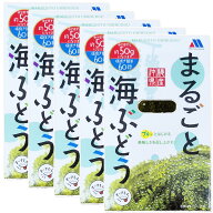 まるごと海ぶどう33g (水で戻すと約50g)×5箱 簡単60秒塩抜き 沖縄県産海ぶどう