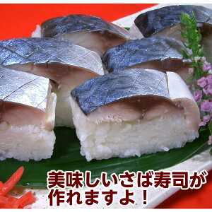 楽天市場 農林水産大臣賞受賞 大トロしめさば 国産の真サバ １枚 キズシ きずし用 しめさば 鯖寿司用 〆鯖 しめ鯖 全国美味発掘 神戸中央卸売財木