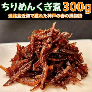 vII2025NV@߂B300g@WHߊC̐˓Y@Y