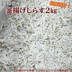 yzⓀ֔IymYz2025V g炷2k3980~I߂ŃTCY΂L@(VNȂ܂܋}˂͂Ԃ͗ⓀŃJ`R`)yႱzGr̒t