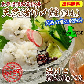 2026新物☆【送料無料】中央市場のプロ投票1位【神戸中央卸売市場でさばいて急速冷凍】これが最高の兵庫県淡路島産だ ワンフローズン 天然活〆 ハモ湯引き（加熱済）250g×3（1パックに梅肉と酢味噌各1袋サービス）【鱧 淡路島 はもすき はも鍋 鱧ちり】