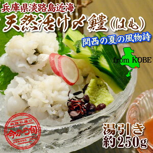 2025Vy݂͊߁zs̃v[1ʁy_˒sł΂ċ}Ⓚzꂪō̕ɌWHY t[Y VRY n(Mρj250g1pbNɔ~