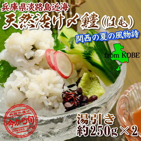 楽天市場 湯引き鱧の通販