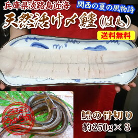 2026年新物★【送料無料】マルサ財木のプロ投票1位のハモ【神戸中央市場でさばいて急速冷凍】淡路島産 ワンフローズン！【加熱向け】天然活〆 骨切り済 ハモ切身約250g×3【1パックに鱧スキ用の中骨と頭を少し付けます（出汁・吸い物用）】(はも 鱧鍋 すき）