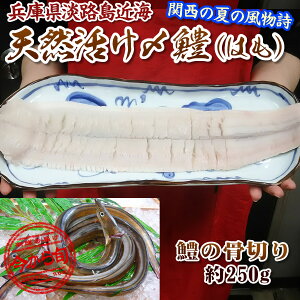 2025NV}T؂̃v[1ʂ̃ny_˒sł΂ċ}ⓀzWHY t[YIyMzVRY ؂ nؐg250g×1pbNy1pbNXLp