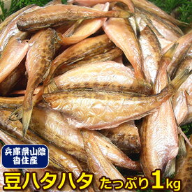 【ほっこり旨い】今度は日本海（山陰沖産）　豆ハタハタ一夜干し　1kg（無添加）＜はたはた・加熱用＞【業務用】