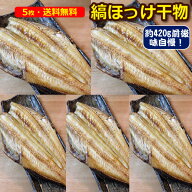 【送料無料】やっと見つけた！肉厚だけ！とろホッケ開き干し5枚セット【真空包装の保証はしておりません…